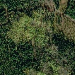 Satellite imagery of Puntzi Ridge, CA