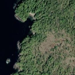 Satellite imagery of Fisher Point, CA