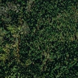 Satellite imagery of Puntzi Ridge, CA