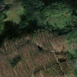 Satellite imagery of Altes Verbrenn, DE