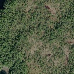 Satellite imagery of Bush Point, CA