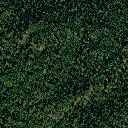 Satellite imagery of Puntzi Ridge, CA