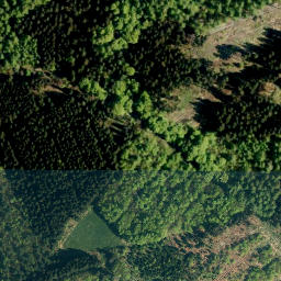 Satellite imagery of Hohe Warte, DE
