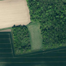 Satellite imagery of Wehmberg, DE