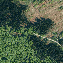 Satellite imagery of Hohe Warte, DE