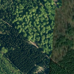Satellite imagery of Höfeler, DE