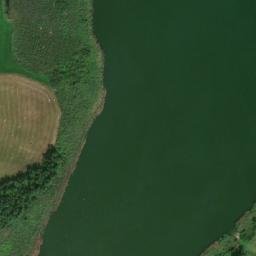 Satelita