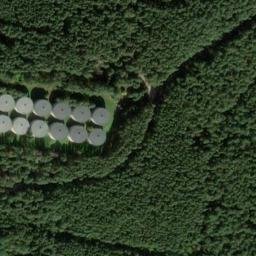 Satelita