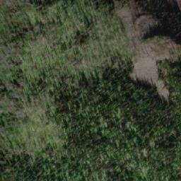 Satellite imagery of Mount Ray, CA