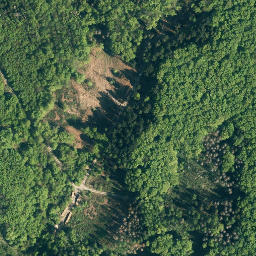 Satellite imagery of Hassel, DE