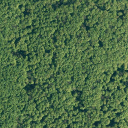 Satellite imagery of Hassel, DE