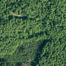 Satellite imagery of Hohe Warte, DE