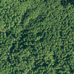 Satellite imagery of Hohe Warte, DE