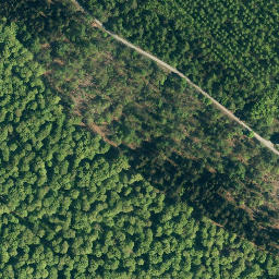 Satellite imagery of Höfeler, DE