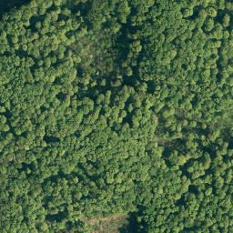 Satellite imagery of Süllberg, DE