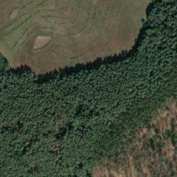 Satellite imagery of Wein Berg, DE