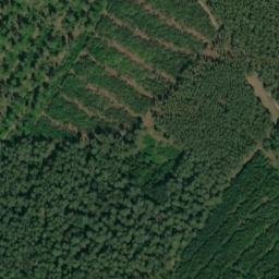Satellite imagery of Braunberg, DE