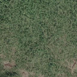 Satellite imagery of Orton Hill, CA