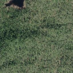 Satellite imagery of Orton Hill, CA
