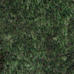 Satellite imagery of Mount Ray, CA