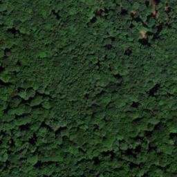 Satellite imagery of Wittekinds Berg, DE