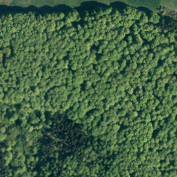 Satellite imagery of Sprenkelberg, DE