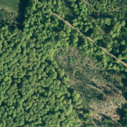 Satellite imagery of Sprenkelberg, DE