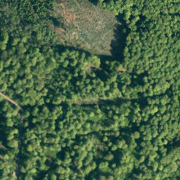 Satellite imagery of Steinberg, DE