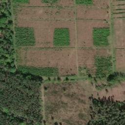 Satellite imagery of Laternenberg, DE