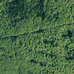 Satellite imagery of Sprenkelberg, DE