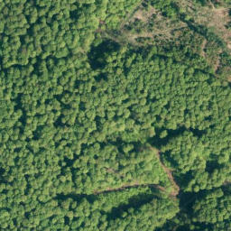 Satellite imagery of Sprenkelberg, DE