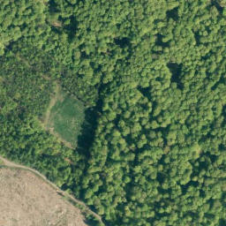 Satellite imagery of Steinberg, DE