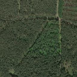 Satellite imagery of Butterberg, DE