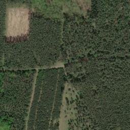 Satellite imagery of Butterberg, DE