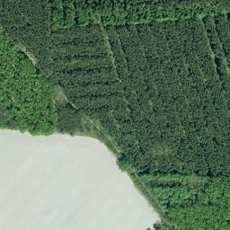 Satellite imagery of Spitzberg, DE