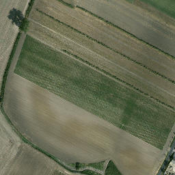 Satelita