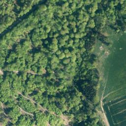 Satellite imagery of Steinberg, DE