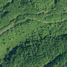Satellite imagery of Sprenkelberg, DE