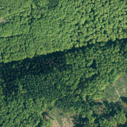 Satellite imagery of Sprenkelberg, DE