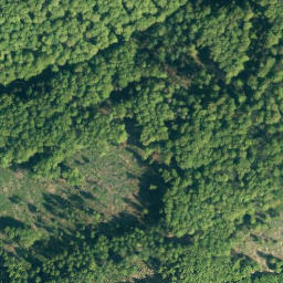 Satellite imagery of Sprenkelberg, DE