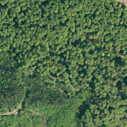 Satellite imagery of Steinberg, DE