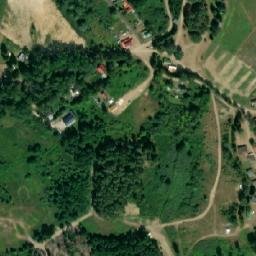 Satelita