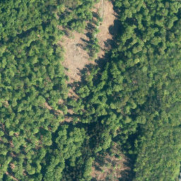 Satellite imagery of Steinberg, DE