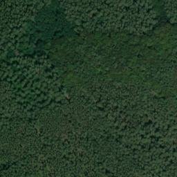Satellite imagery of Dachsberg, DE