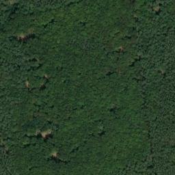 Satellite imagery of Dachsberg, DE