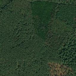 Satellite imagery of Dachsberg, DE
