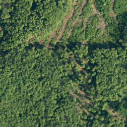 Satellite imagery of Westeregge, DE