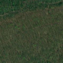 Satellite imagery of Bielstein, DE