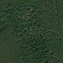 Satellite imagery of Dachsberg, DE