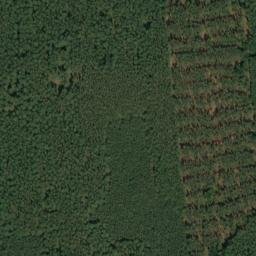 Satellite imagery of Dachsberg, DE